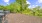 Dog Park